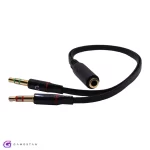 2to1-3.5mm (2)
